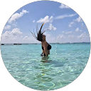 Éva Szabó profile picture