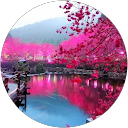 Szulamit Kozma profile picture